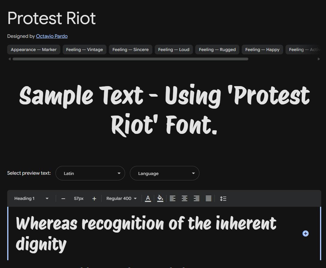Image sample preview for text using Protest Riot font family